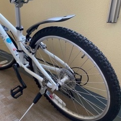 【取引完了】ルイガノ　クロスバイク24インチ（洗車済み）