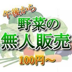 【新鮮野菜】チンゲン菜4株入り