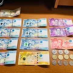 【ネット決済】フィリピンペソ+アメリカドル※一時停止中