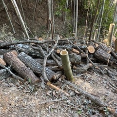 薪、椎茸原木、キャンプ