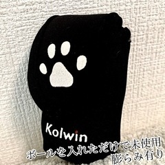 １回ボールを入れた未使用に近いコルウィン Kolwin の ゴル...