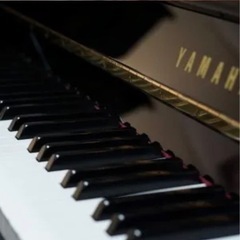 【ネット決済】電子ピアノ DUP-1B