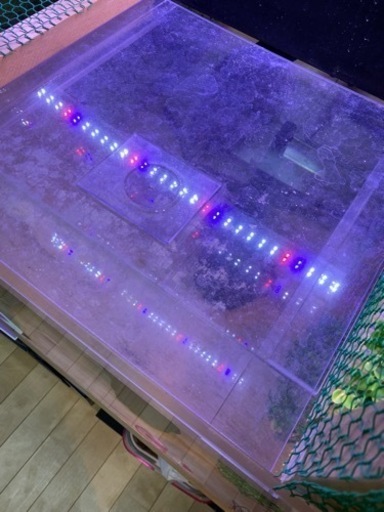 1200水槽セット‼️大幅値下げ‼️