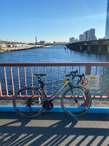 Panther ZEUS-2.0 ロードバイク