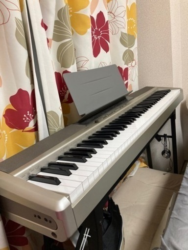 CASIO Privia PX-120 paletimetalici.ro