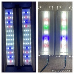 【週末限定値下げします】水槽用品まとめ売り　大量処分　水槽セット