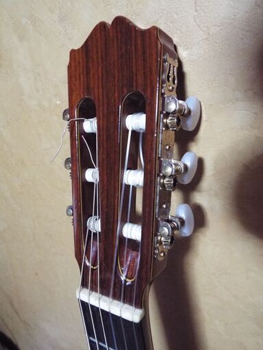 クラシックギターTAKAMINEー№30 | global.burplids.com