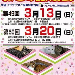3/13(日)　猫の譲渡会　in　名古屋市昭和生涯学習センター
