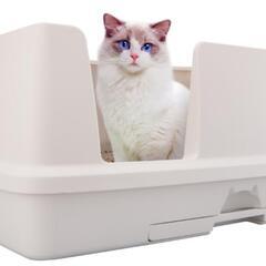猫用システムトイレ（大型）