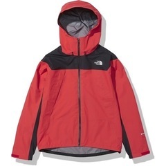 【ネット決済・配送可】THE NORTH FACE。