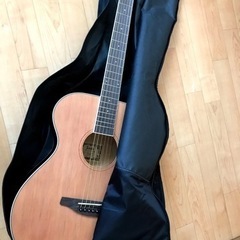 Soldin アコースティックギター SFG-15 NAS 
