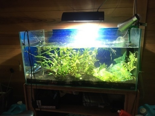 90cm水槽ガラスadaちゅうい お値段交渉次第です リボンカニシェ 和倉温泉の家具の中古あげます 譲ります ジモティーで不用品の処分