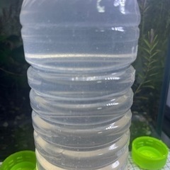 中古エビオスが無料 格安で買える ジモティー