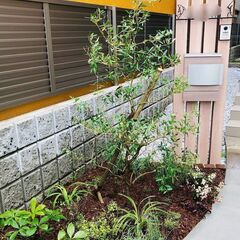 ガーデンリフォーム シンボルツリー 花壇などの植替え 暮らしとみどり研究所 暮らしとみどり研究所 相模大野の植木 庭木植え替え の無料広告 無料掲載の掲示板 ジモティー