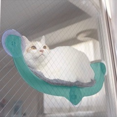 【ネット決済・配送可】猫　壁掛けベッド