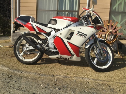 ブンブンTZR50
