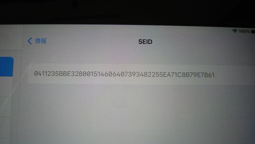 ipad pro 12.9インチ　ML0N2J/A　128GBモデル　完動品+ケース ipad pro 12.9インチ ML0N2J/A 128GBモデル 完動品+ケース iPad Pro 12.9