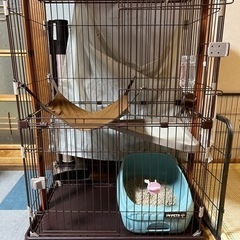 アイリスオーヤマ　木調キャット2段タワー　美品！　