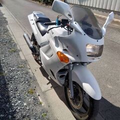 ZZR250 