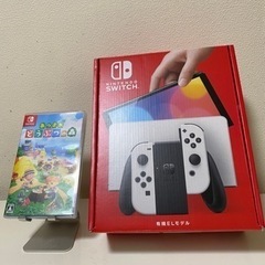 『決まりました』任天堂Switchとあつまれどうぶつの森ソフトセット