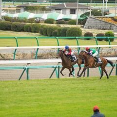 競馬仲間募集中