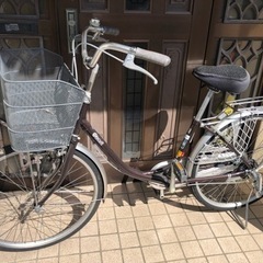 自転車　ブリヂストン　Biscuit  24 インチ