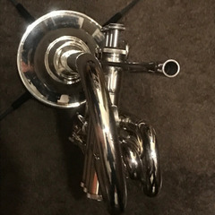 【ネット決済•配送可】コルネット YCR-3330S