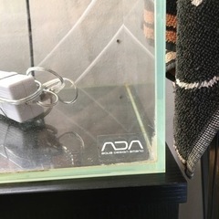 値下げ 15,000円 ADA水槽、ライト中古