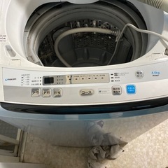 maxzen 洗濯機