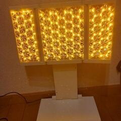 QUANTUM PHOTON LED 美顔器 VIGAN 育毛