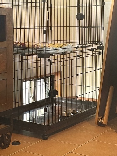猫ケージ