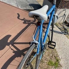 シュウイン　マディソン　シングルスピード