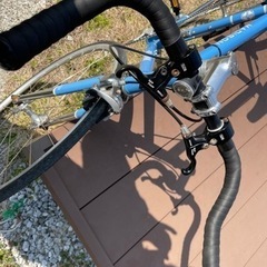 シュウイン　マディソン　シングルスピード