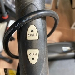 アルインコ(ALINCO) プログラムウォーカー AF3700【C3-228】