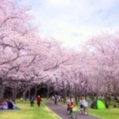 100名規模でお花見パーティー❗️ 4/2(日)大阪お花見パーテ...