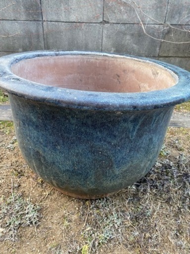 睡蓮鉢大型メダカ金魚の飼育に ミノモンタナ 挿頭丘の子供用品の中古あげます 譲ります ジモティーで不用品の処分