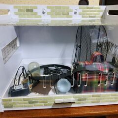 ハリネズミ 飼育セット