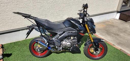 Z125PRO (配達可) | www.primariabistra.ro