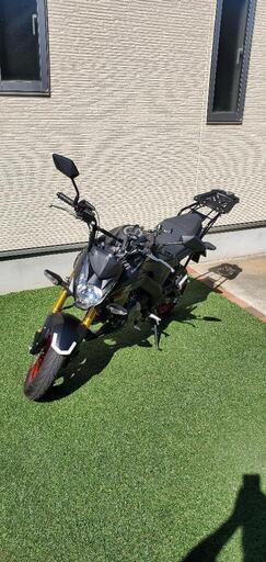 Z125PRO　(配達可)