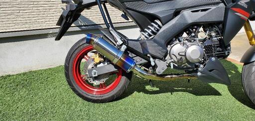 Z125PRO (配達可) | www.primariabistra.ro