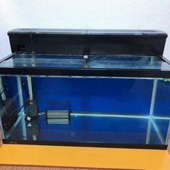 【ネット決済】アクアリウム　ガラス水槽　90cm 濾過層