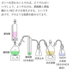 理解学や英語の詳しい方