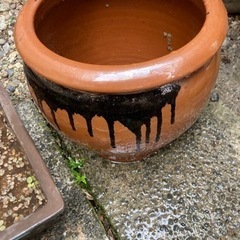 値下げしました。ビオトープ　メダカ睡蓮鉢　ガーデン　鉢　