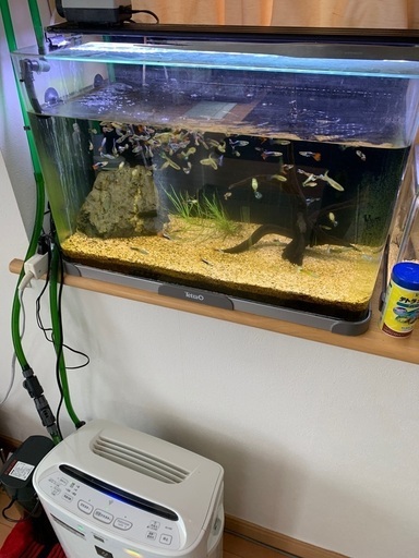 熱帯魚 水槽 外部フィルター ライト エアポンプ等 Nakiryu 市川のその他の中古あげます 譲ります ジモティーで不用品の処分
