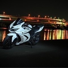 【ネット決済】Kawasaki ninja250R zx6r顔　...