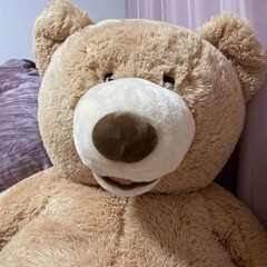 【ネット決済】コストコ　135cmの熊