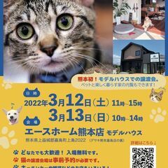 熊本初！モデルハウスで楽しい犬猫譲渡会♪