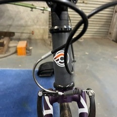 チネリ　トゥット