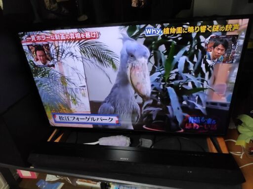 43インチ4kテレビ