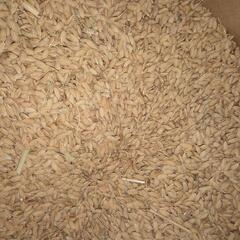 種籾の中古が安い！激安で譲ります・無料であげます｜ジモティー 